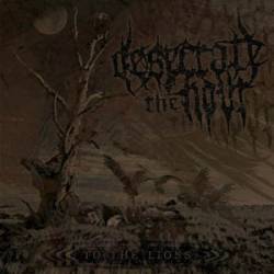 Desecrate The Hour : To The Lions